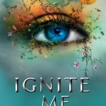 Image du produit suivant