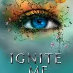 Image du produit précédent