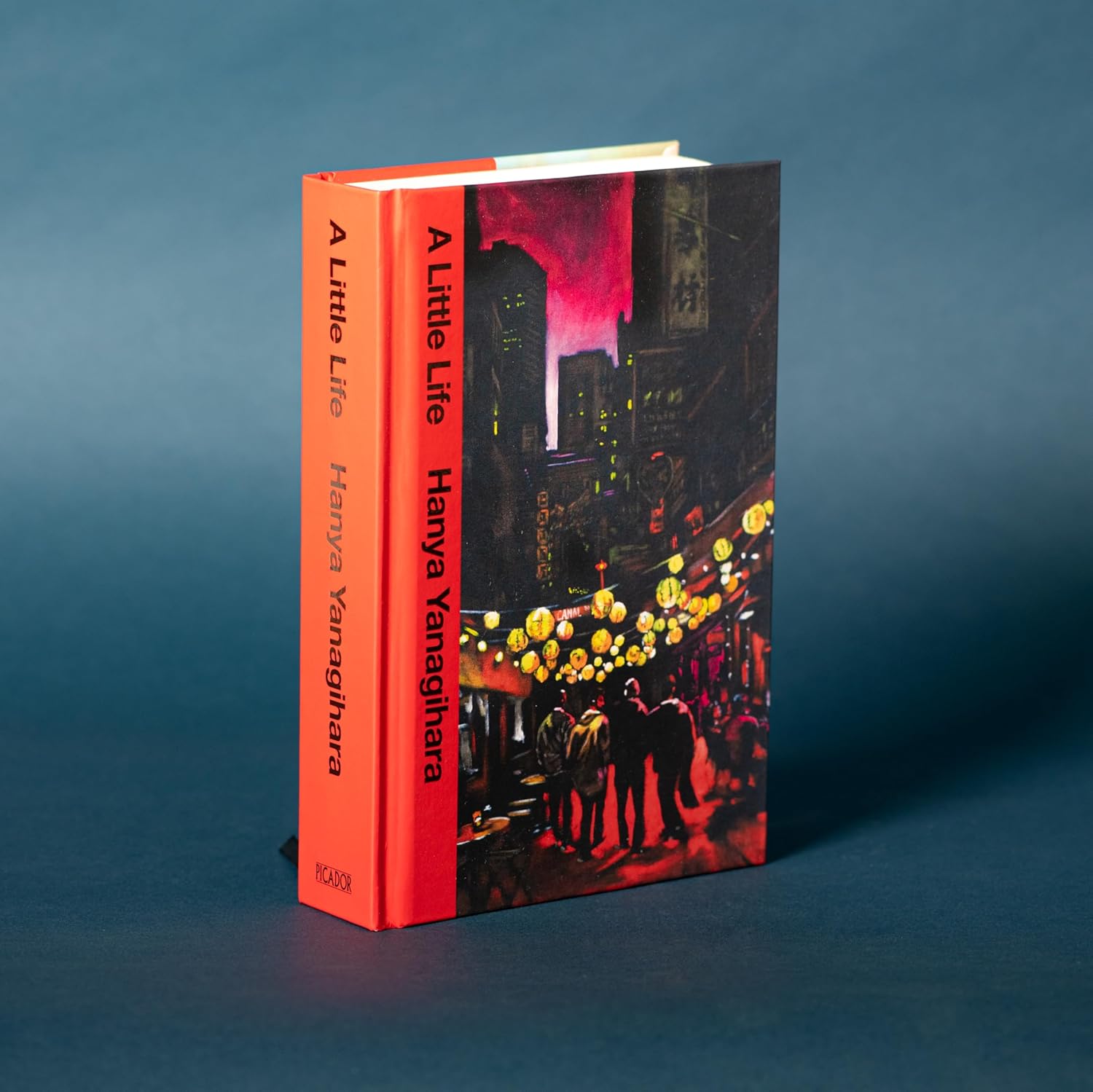 A Little Life: Special Edition